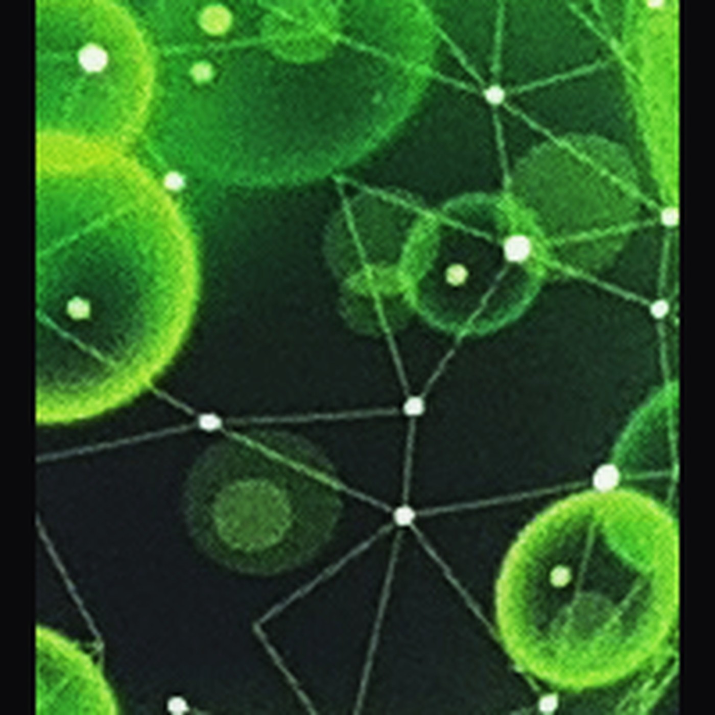 Algae fertilisers