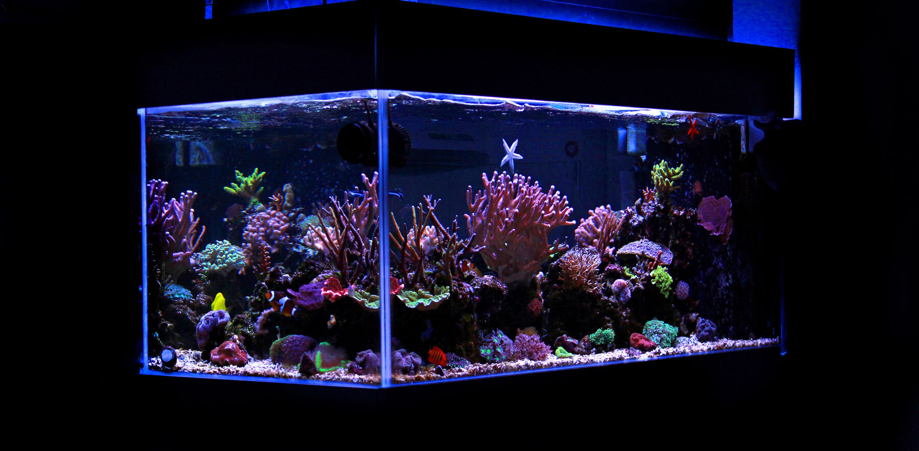 Australian-made marine aquarium reef salts