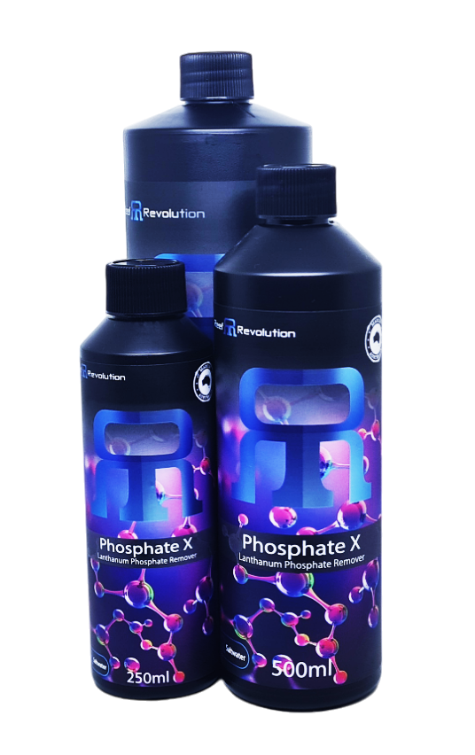 Phosphate X