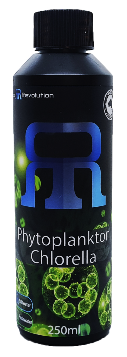Phytoplankton Chlorella