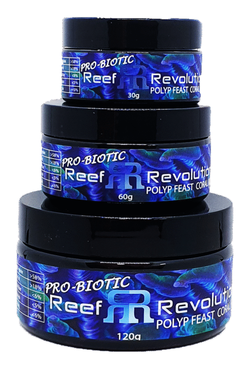 Reef Revolution Polyp Feast Probiotic coral food with beneficial bacteria for reef aquarium nutrient control Probiotic coral food Polyp Feast with bacteria strains for marine aquarium nutrient stability Polyp Feast Probiotic high protein coral nutrition with beneficial bacteria for LPS SPS coral growth Coral feeding with Polyp Feast Probiotic marine plankton and bacteria supplement for reef tanks